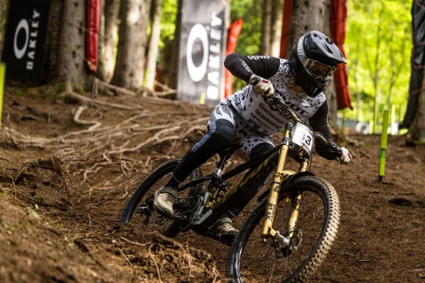 Blacklabel 307 DH Expert 27.5