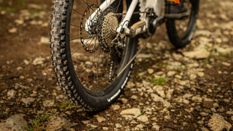 E-Wild Rear Performance Tyre