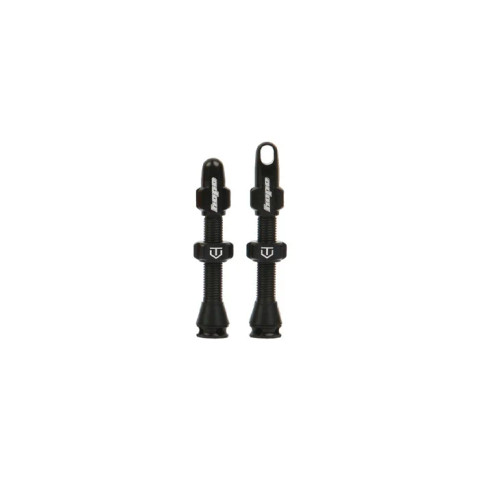 Tubeless Valve Pair
