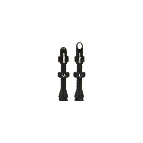 Tubeless Valve Pair