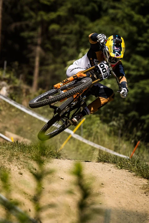 Blacklabel 309 DH Expert 29