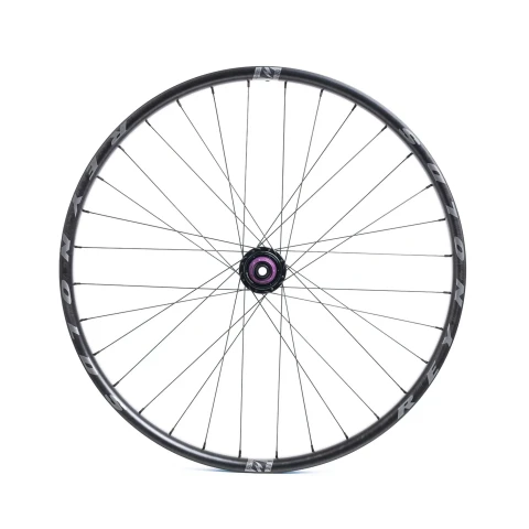 Blacklabel 309 DH Expert 29
