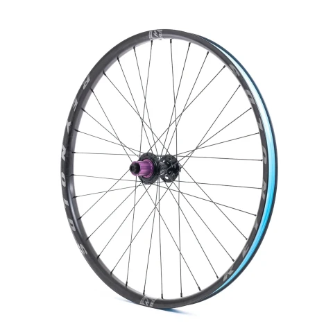 Blacklabel 309 DH Expert 29