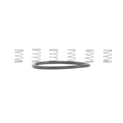 I9 Torch MTN Pawl Seal & Spring Kit (No Pawls)
