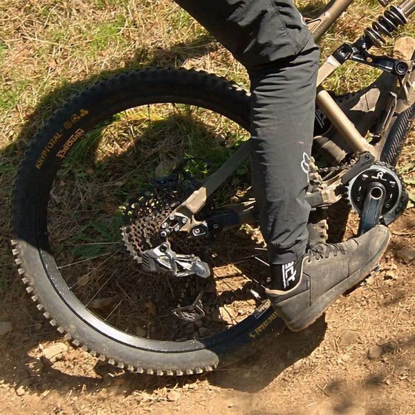 Chain Damper Hope