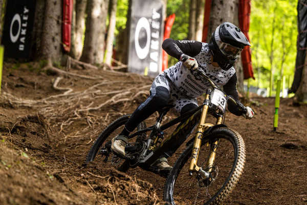 Blacklabel 307 DH Expert 27.5