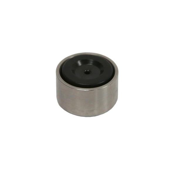 17mm Stainless Piston and Insert