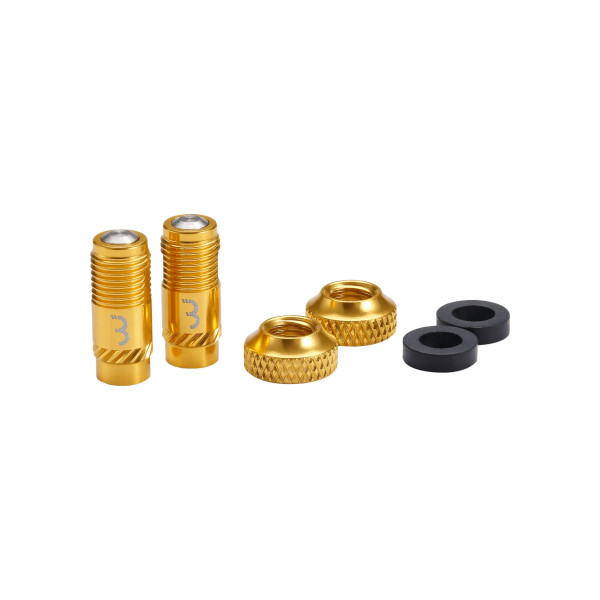CoreCap Valve Caps Gold