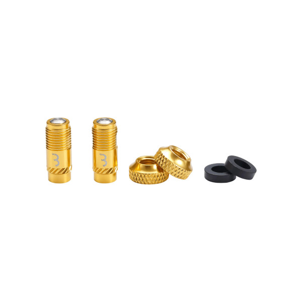 CoreCap Valve Caps Gold