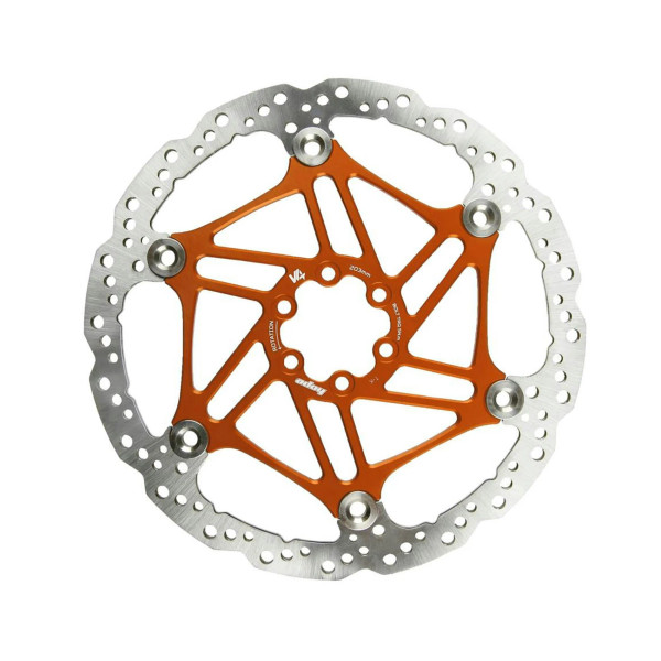 Floating V4 Disc