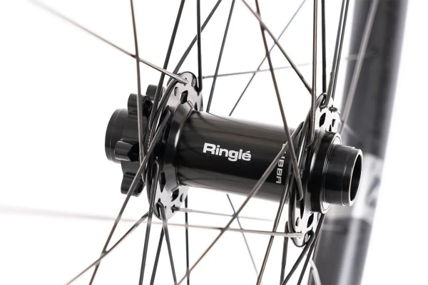 Blacklabel 309 DH Expert 29