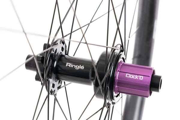 Blacklabel 309 DH Expert 29