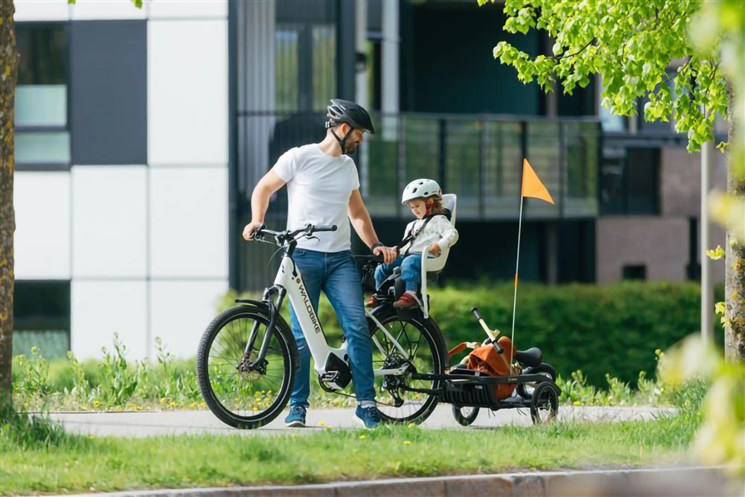 Father with a child in a Hamax rear bike seat, with a Hamax bike trailer with orange flag and stuffed toy, riding in a green park near modern buildings