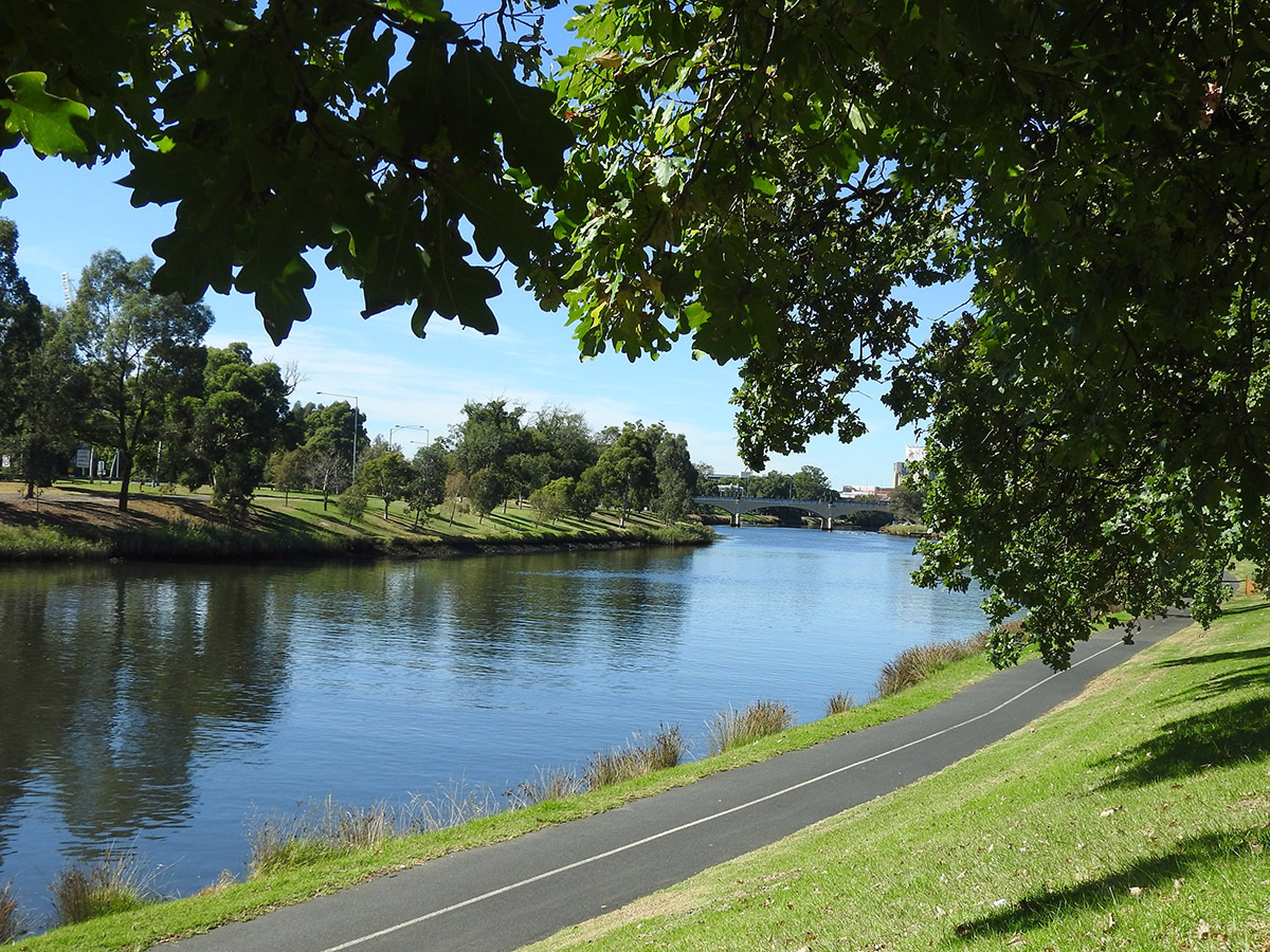 A scenic riverside bike path lined with lush green trees and a calm river, under a bright blue sky.