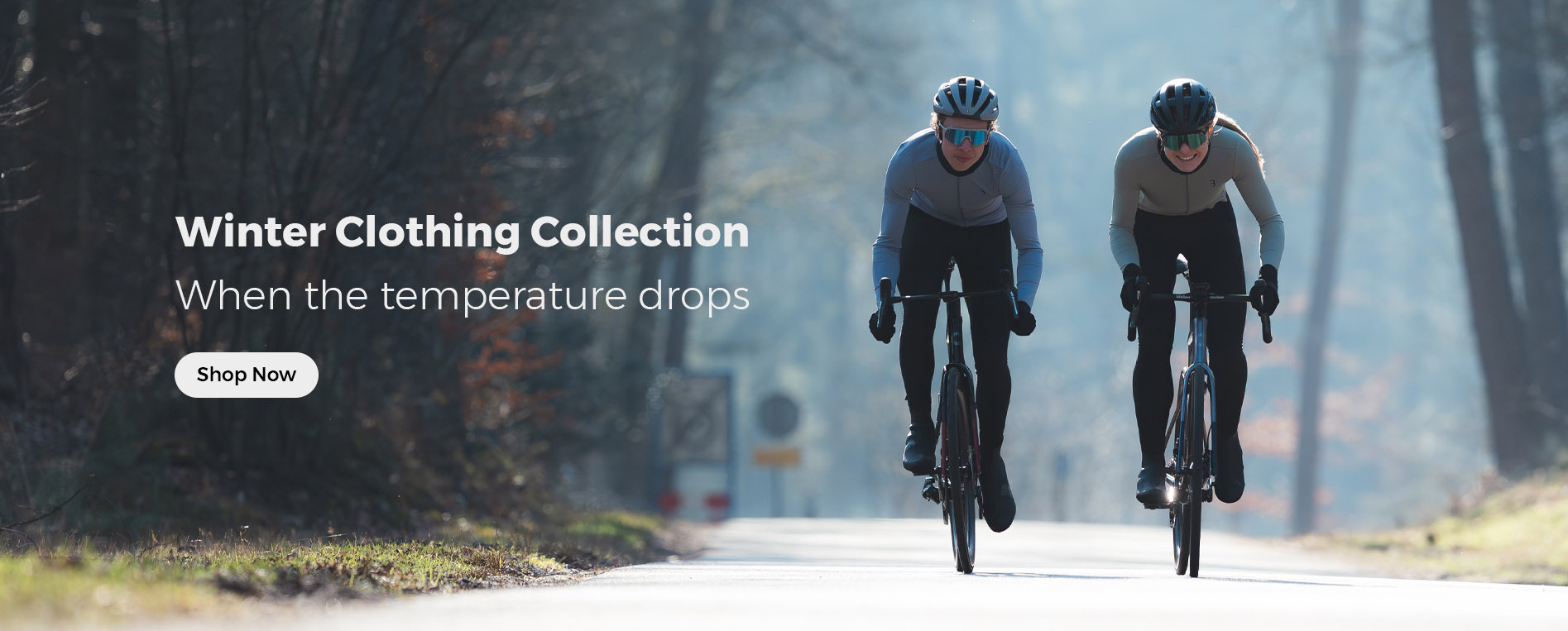 einter Collection