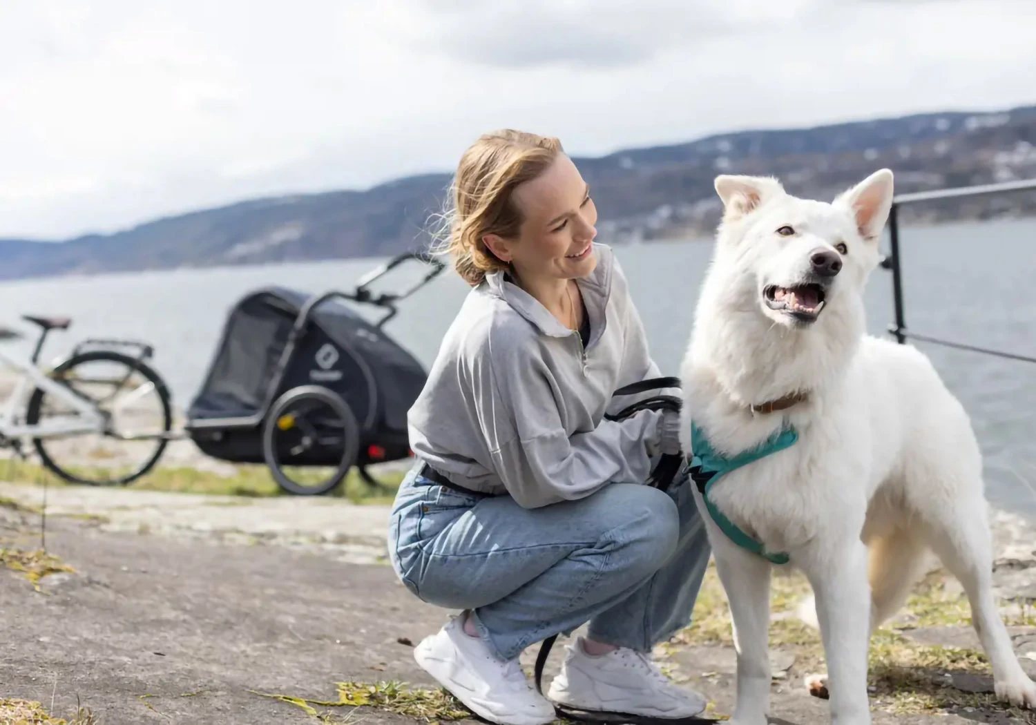 Hamax Pluto L dog trailer hitched to a bicycle being ridden on a path with dog inside