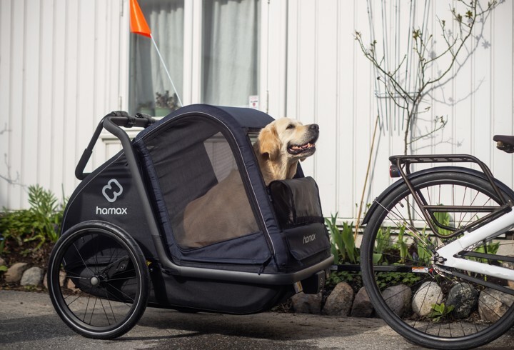Cyclist resting by lake with dog in a Hamax pet trailer attached to bike