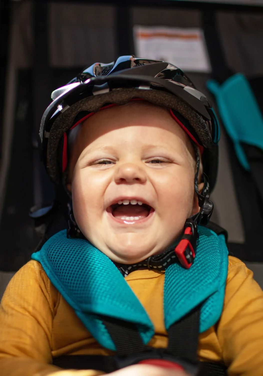 Hamax Traveller 2-seat stroller side view showing spacious cabin for two children