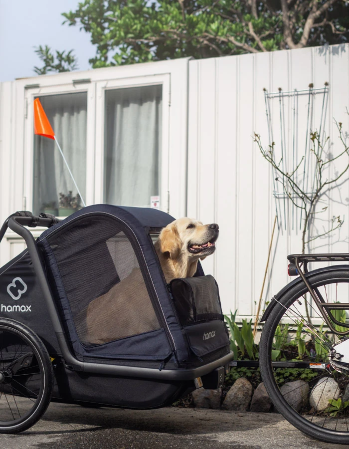 Large Hamax Pluto Dog Trailer