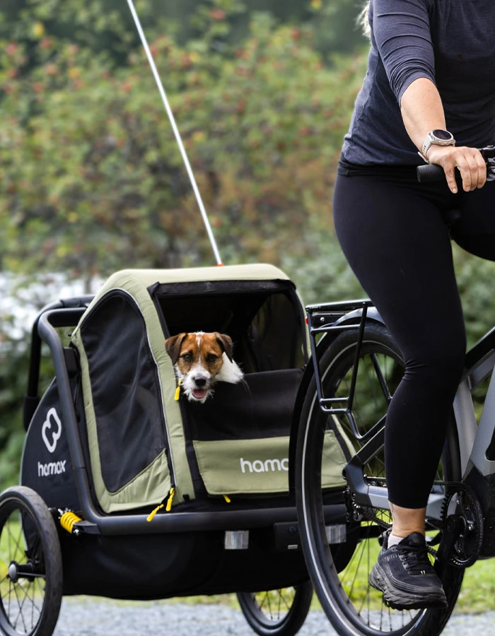 Medium Hamax Pluto Dog Trailer