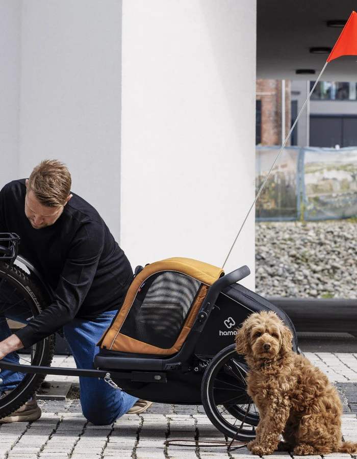 Small Hamax Milou Dog Trailer