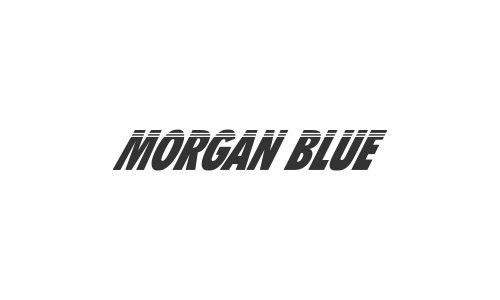 MORGAN BLUEMORGAN BLUE