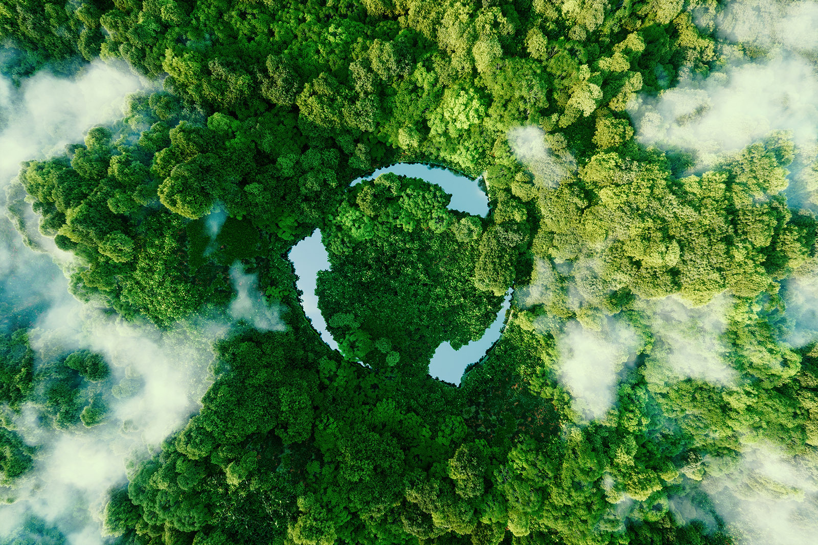 SUSTAINABILITY