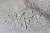 Water & Damp Proofing