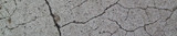 Concrete Repair & Grouts