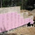 FOAMULAR XPS Rigid Insulation