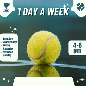 WNTJ26 - 1 DAY A WEEK JCP