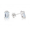 9ct White Gold Diamond & Aquamarine Earrings