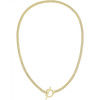 Ladies BOSS Zia Light Yellow Gold IP Chain Necklace