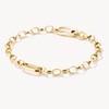 Charm bracelet with Connect link gold-plated