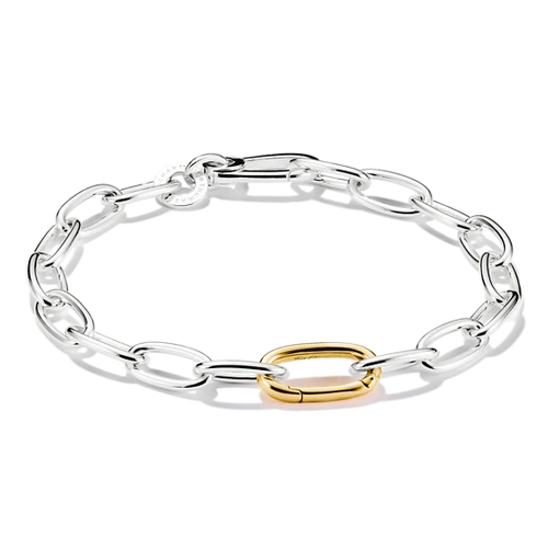 Charm bracelet bicolour with Connect link silver