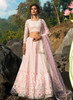 Pink color Net Fabric Lehenga Choli