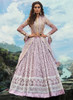 Light Mauve color Net Fabric Lehenga Choli