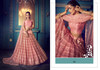 Pink color Soft Net Fabric Lehenga Choli