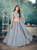 Grey color Soft Net Fabric Lehenga Choli