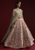 Powder Pink color Raw Silk Fabric Lehenga Choli