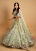 Gorgeous Cardamom Green Organza Lehenga Choli4800