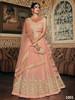 Peach color Net Fabric Lehenga Choli