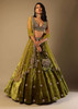 Green color Velvet Fabric Lehenga Choli