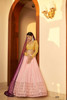 Elegant Pink Georgette Lehenga Choli3647