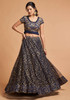 Elegant Royal Blue Net Lehenga Choli4056