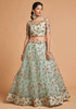 Elegant Green Net Lehenga Choli4059