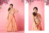 Peach color Chiffon Fabric Lehenga Choli