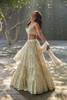 Elegant Cream Georgette Lehenga Choli4734