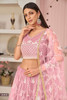 Elegant Pink Net Lehenga Choli5146