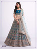Blue color Heavy Handwork Net Fabric Lehenga Choli